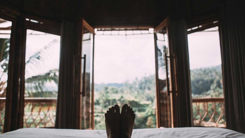 Viviendas en entornos forestales, ¿cómo protegerlas? 6 pexels rachel claire 45773852