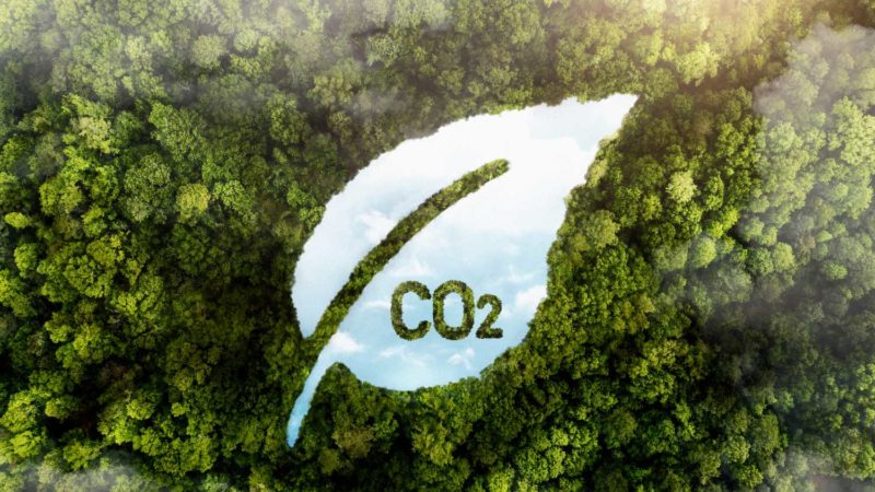 ¿Qué es el monoxido de carbono? 2 vista arboles bosque verde co2